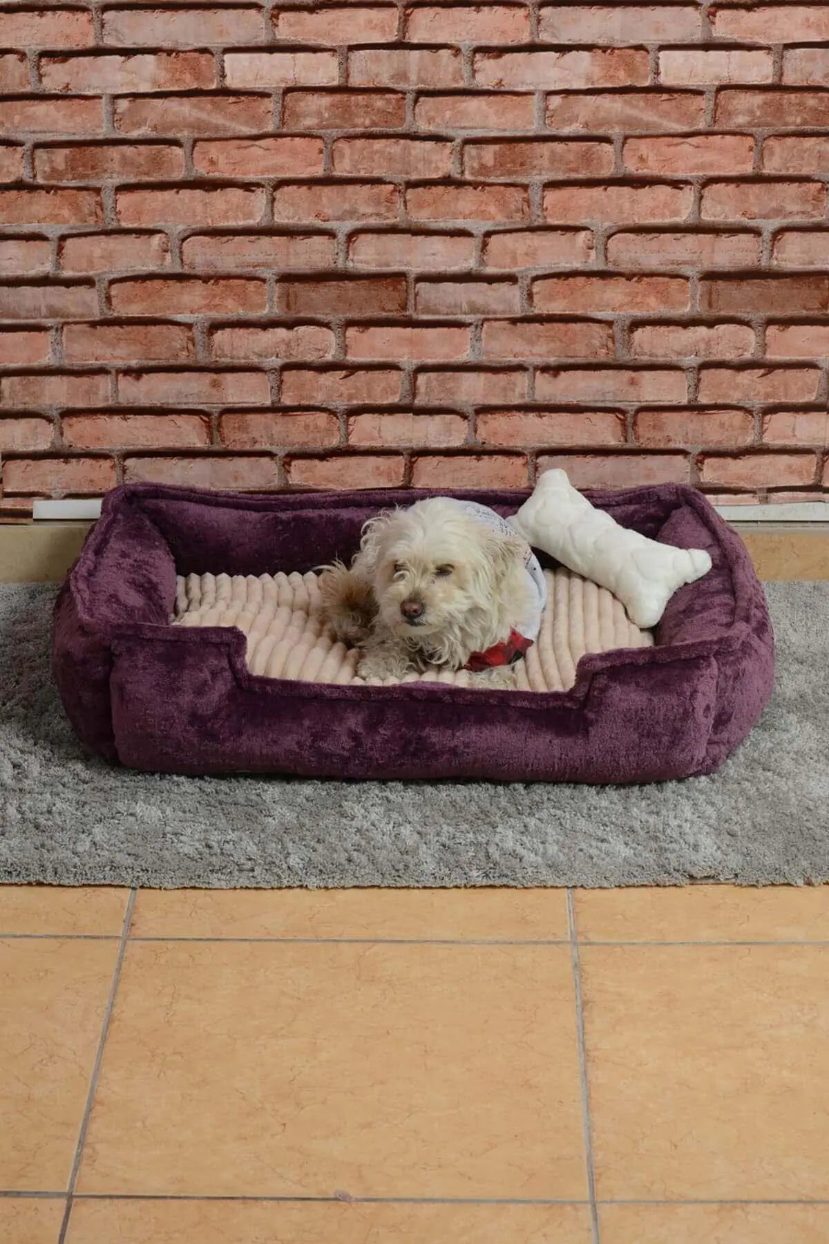 Cookie Pet Filled Cat Dog Nest, 70X50Cm, Plum Beige