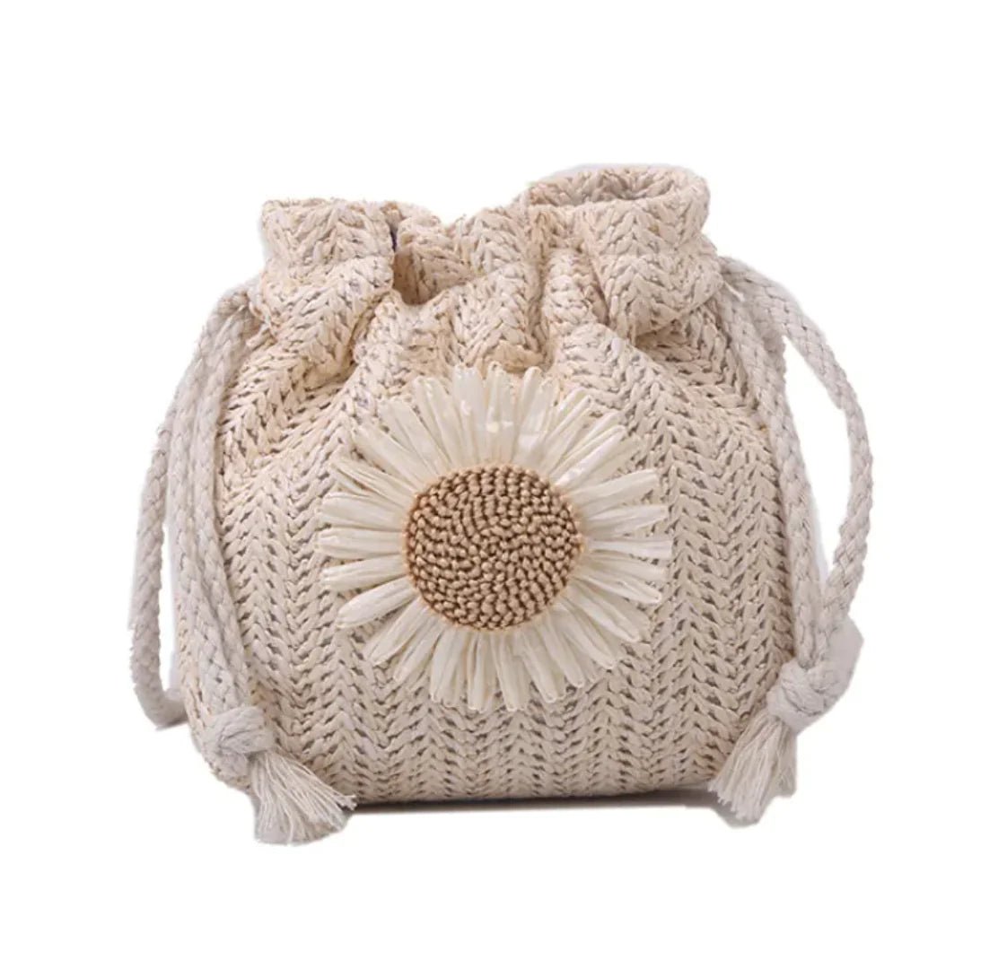 Straw Minimalist Crossbody Bag