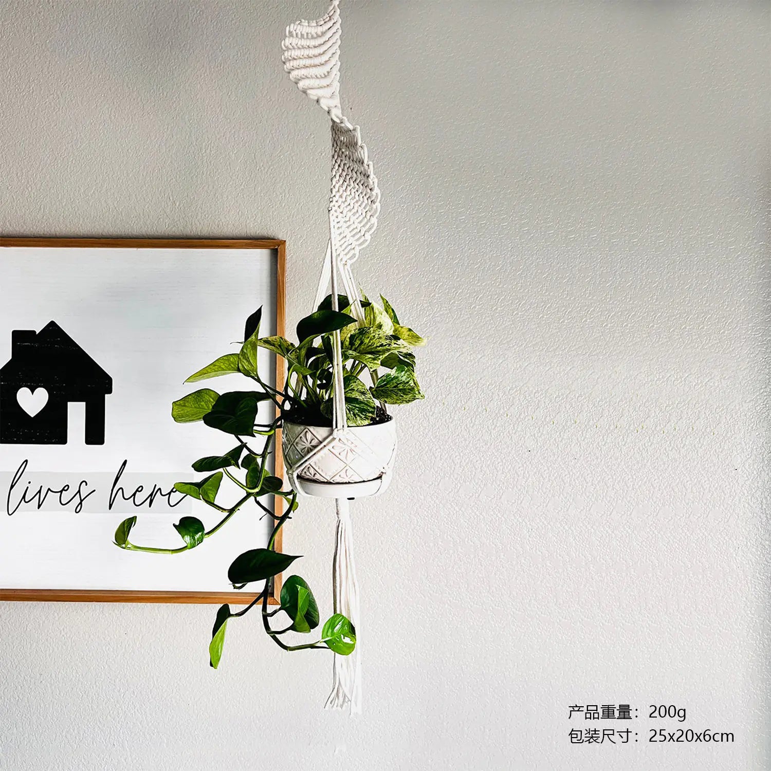 Nordic Plant Hanging Basket Tapestry Bohemian Decor