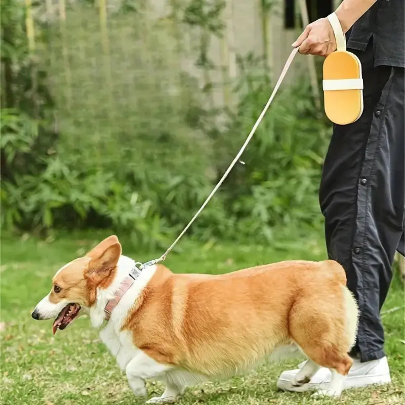 Portable Pet Water Bottle with Ice Cream Design