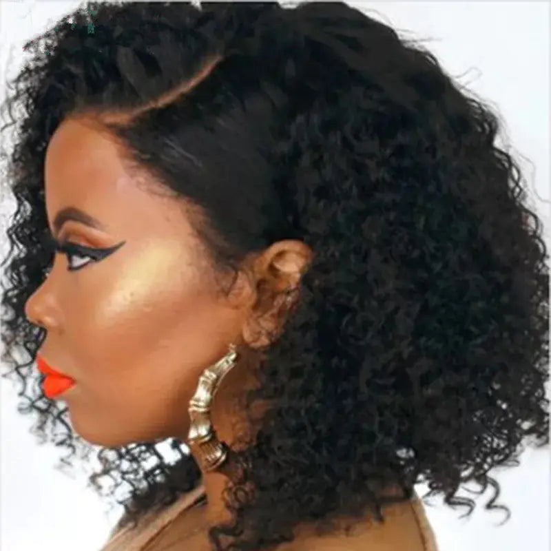 Fashionable African Curly Wig for Women