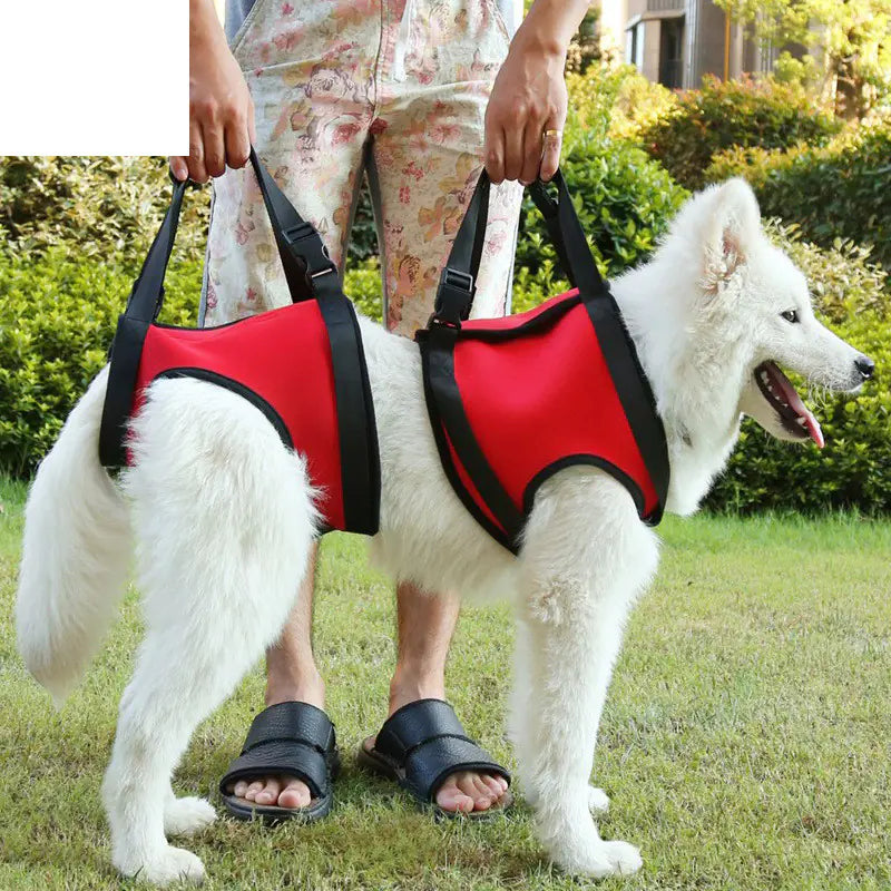 Elderly Dog Hind Leg Assist Belt for Pet Support