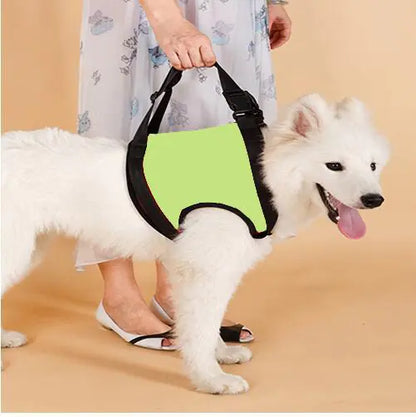 Elderly Dog Hind Leg Assist Belt for Pet Support