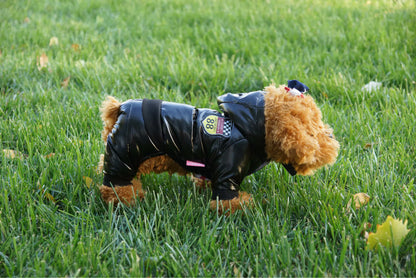 Autumn Winter Pet Down Cotton Jacket for Dogs