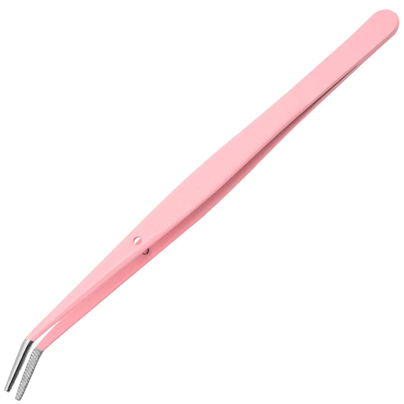 Stainless Steel Oral Care Tool Set