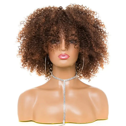 Afro Kinky Curly Hair Wigs (Multiple Styles Available)