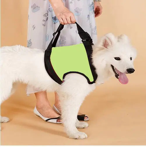 Elderly Dog Hind Leg Assist Belt for Pet Support