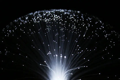 Romantic LED Fiber Optic Starry Night Light