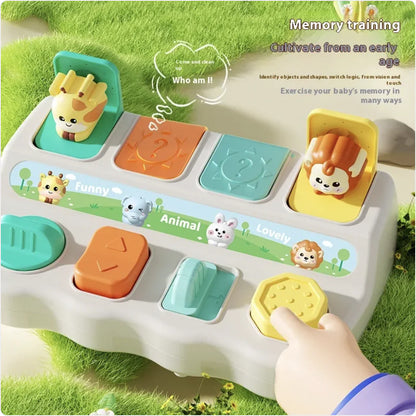 Musical Surprise Box