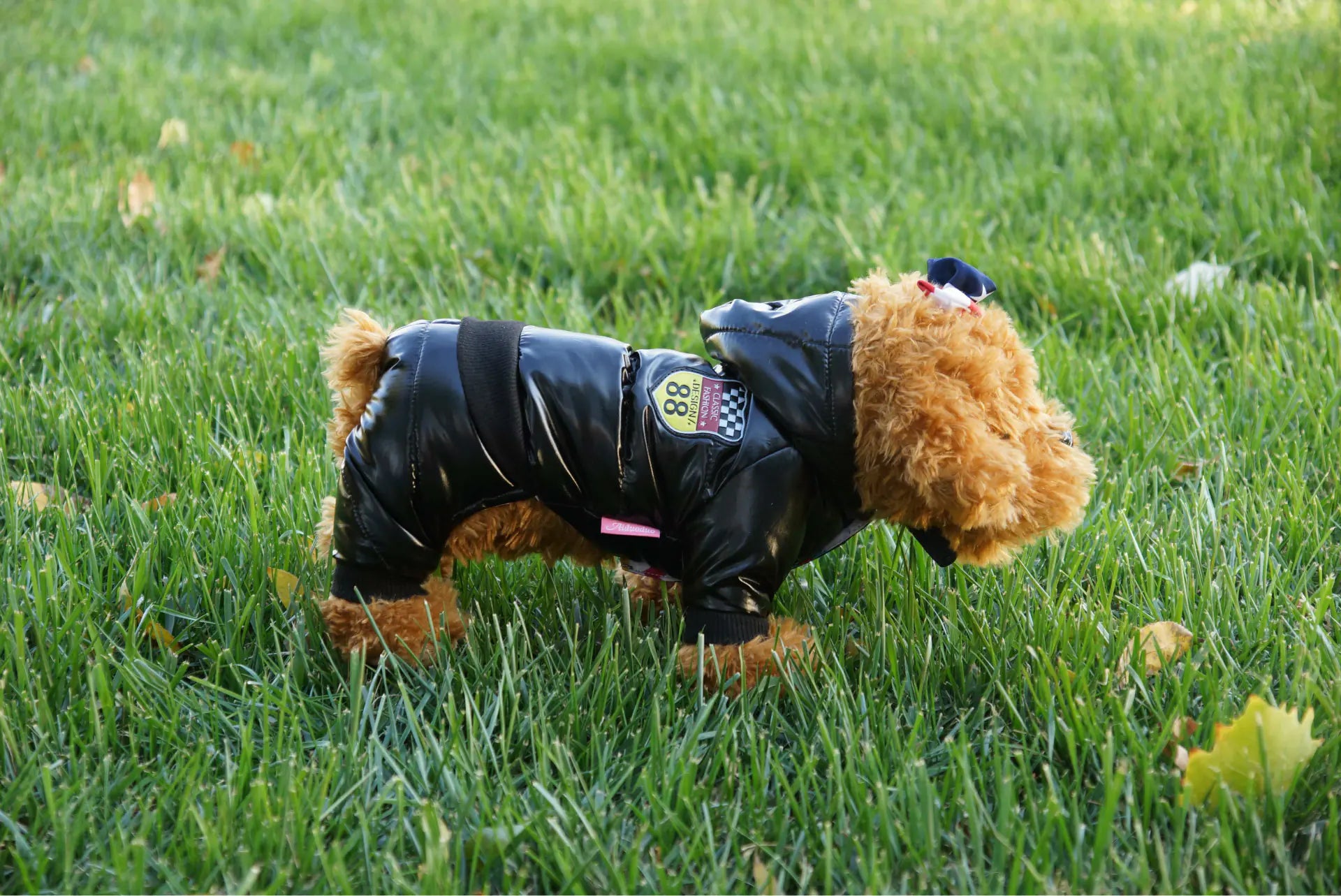 Autumn Winter Pet Down Cotton Jacket for Dogs