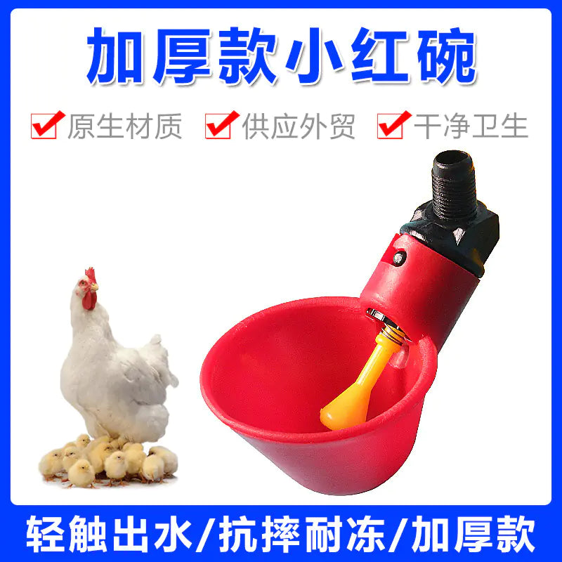 Chick Watering Bowl for Quail and Pigeon Wholesale