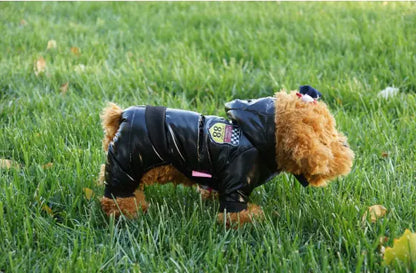 Autumn Winter Pet Down Cotton Jacket for Dogs