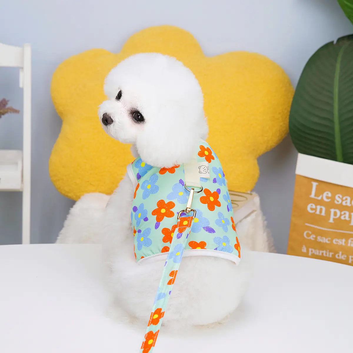 Pet Clothing with Chest Back Traction Rope and 23 Flowers