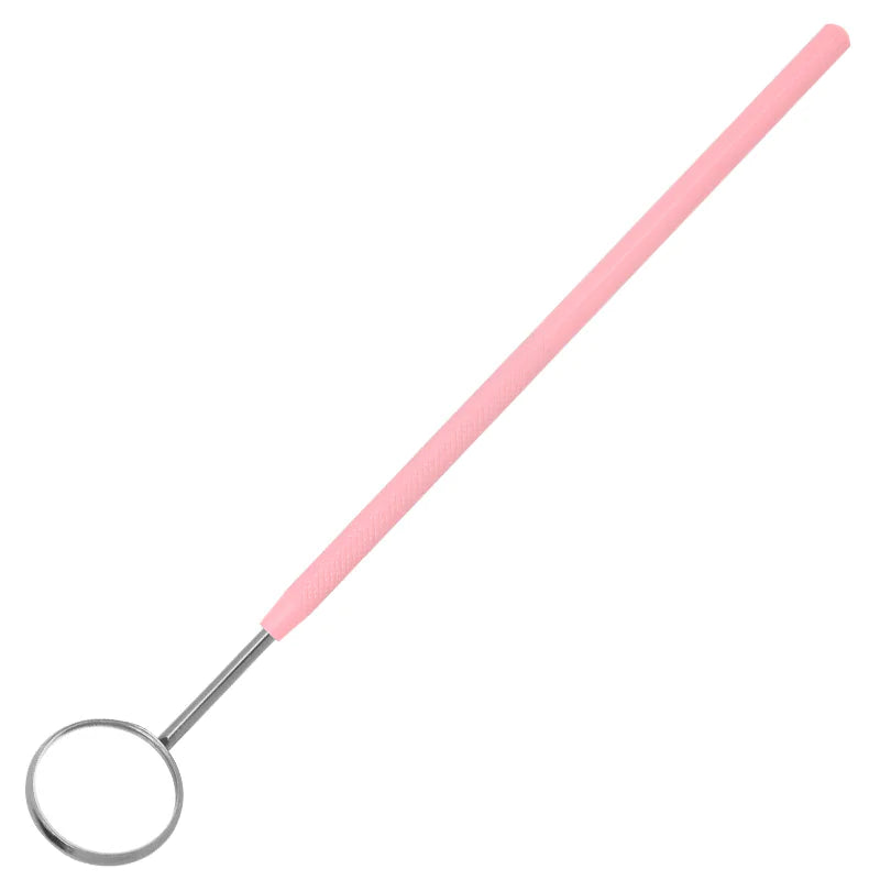 Stainless Steel Oral Care Tool Set