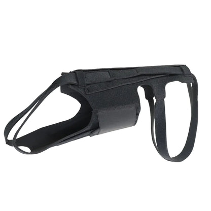 Dog Back Brace for IVDD, Arthritis, and Recovery