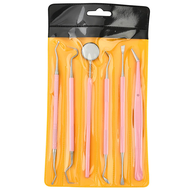 Stainless Steel Oral Care Tool Set