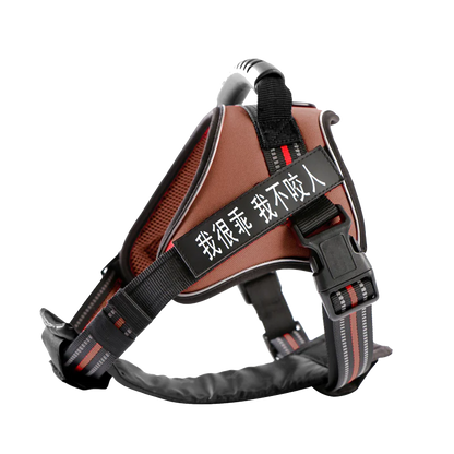 Medium and Large Dog Leash with Chest Strap Vest