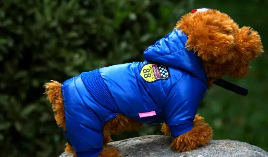 Autumn Winter Pet Down Cotton Jacket for Dogs