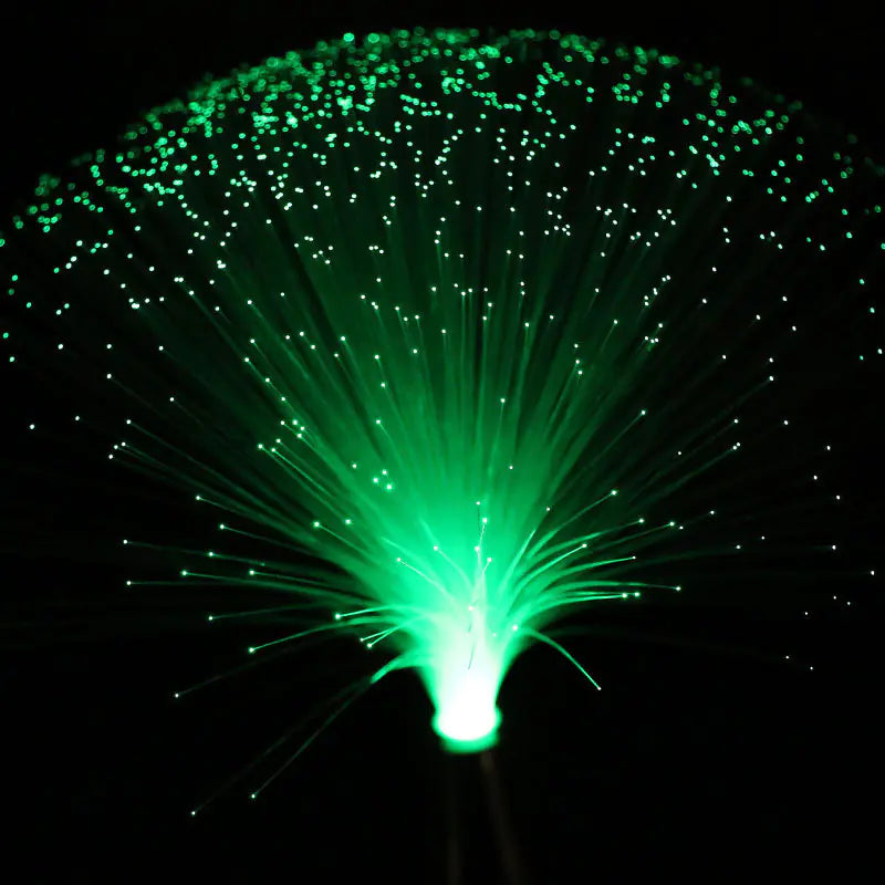 Romantic LED Fiber Optic Starry Night Light