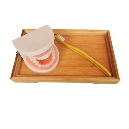 Denture Tooth Model