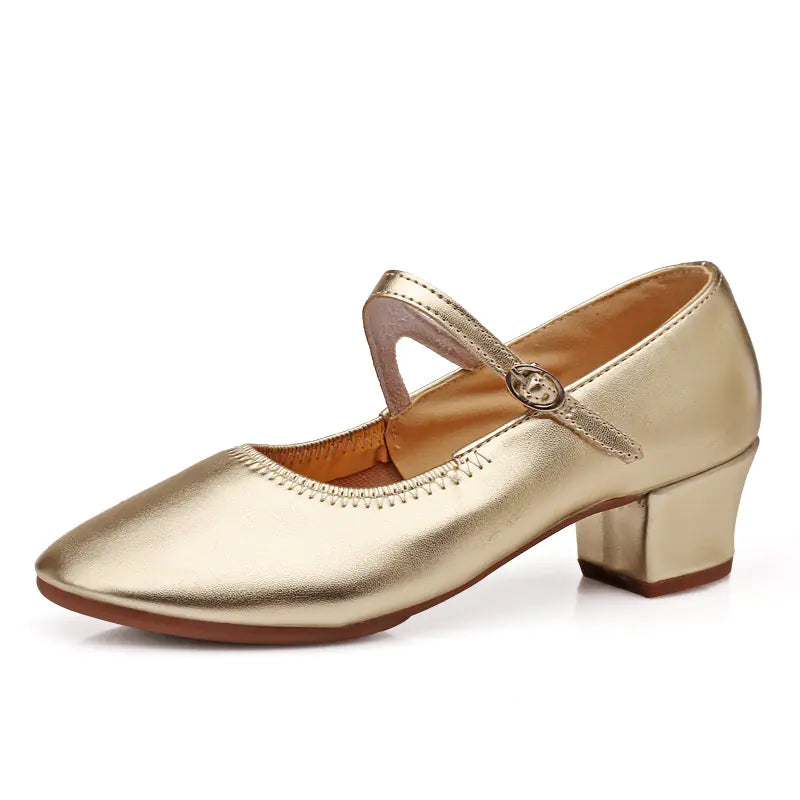 2023 Women's Dance Shoes for Modern & Square Dancing